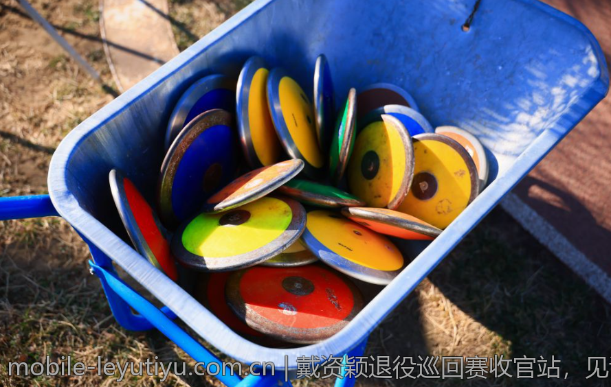 戴资颖退役巡回赛收官站，见证她运动生涯的华丽转身