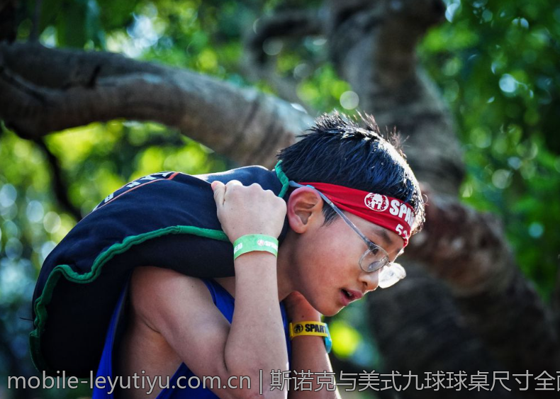 斯诺克与美式九球球桌尺寸全面比较分析
