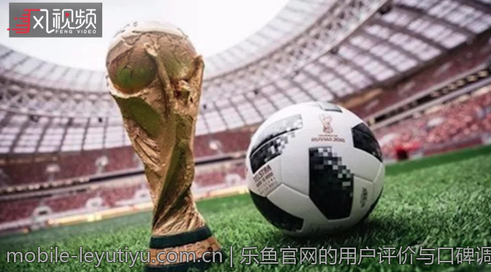 乐鱼官网的用户评价与口碑调查